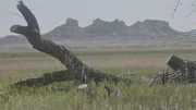 A landscape depicting the Wild West.