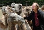 Pfleger Ferdinand Heinemann versorgt die Kamele.