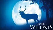 Unsere Wildnis - Artwork