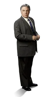 Der erfahrene Det. Vince Korsak (Bruce McGill) ist Rizzolis engster Kollege.