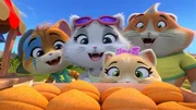 Lampo, Milady, Pilou und Metti freuen sich &uuml;ber die Gl&uuml;ckskekse, die Neko mitgebracht hat.