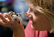 ARD/WDR PINGUIN, L. WE & CO Geschichten aus dem Zoo M&uuml;nster, Einblicke hinter die Kulissen des Allwetter-Zoos in M&uuml;nster; Kristina Theobald mit einem ihrer Sch&uuml;tzlinge, einer chilenischen Vogelspinne.