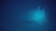 Ein NOAA ROV inspiziert das intakte Fl&uuml;gelteil eines B29-Flugzeugs in 350 m Tiefe w&auml;hrend einer Inspektion des Marianas-Grabens.