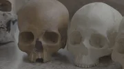 The cranio facial morphology of two skulls from Paleoamericans are compared. (National Geographic) The cranio facial morphology of two skulls from Paleoamericans are compared. (National Geographic)