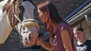 So einen ungew&ouml;hnlichen Fall hatte auch Pferdeprofi Sandra Schneider noch nicht: Jenny Jochheims (r.) sechsj&auml;hrigen Wallach "Sito" hat eine ungew&ouml;hnliche Leidenschaft: L&ouml;cher buddeln...