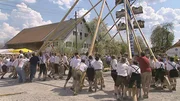 Der letzte Schub - Aufstellen des Unterbrunner Maibaums.
