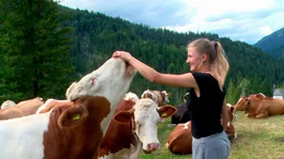 Seit vier Monaten ist die 20-j&auml;hrige Josefa Leitner als Sennerin auf der Ochsenalm allein f&uuml;r die Tiere, die Wiesen und die alte Almh&uuml;tte verantwortlich. Sie wollte vom Trubel unten im Tal ablassen und &uuml;ber sich nachdenken. Der Film gibt Einblicke in das Leben einer au&szlig;ergew&ouml;hnlichen jungen Frau  und begleitet sie &uuml;ber zwei Jahre. Wie haben sie die Erfahrungen als Sennerin ver&auml;ndert?