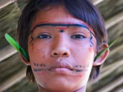 Blattschmuck statt Ohrringen bei einem jungen Yanomami.