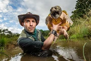 Coyote Peterson holding a snapping turtle in a swamp.