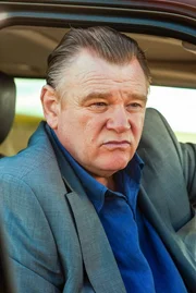Brendan Gleeson (David Barlow).