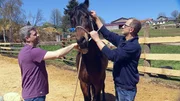 Bernd Hackl (l.) und Dr. Markus Aschenbrenner bei der chiropraktischen Behandlung von "Shadow" auf der MRanch in Bayern.