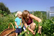Agnes Penner (rechts) und ihr kleiner Sohn ernten Gem&uuml;se im eigenen Bauerngarten.