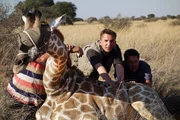 Eric Mayer ist in Namibia, um in aufwändigen und lebensgefährlichen Aktionen Giraffen umzusiedeln. Denn der Mensch hat den Lebensraum der Giraffen in Afrika zerstört. Jetzt muss er den Giraffen helfen, damit sie überleben. Eric Mayer ist in Namibia, um in aufwändigen und lebensgefährlichen Aktionen Giraffen umzusiedeln. Denn der Mensch hat den Lebensraum der Giraffen in Afrika zerstört. Jetzt muss er den Giraffen helfen, damit sie überleben.