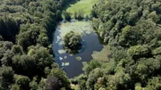 Die Leiche wurde im Klosterwald gefunden