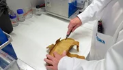 Was steckt drin im Birkenstock-Schuh? Eine Laboruntersuchung soll das herausfinden.