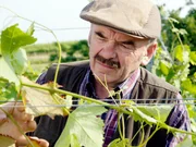 Branko Samarovski (Blasius Schmalzl). Branko Samarovski (Blasius Schmalzl).