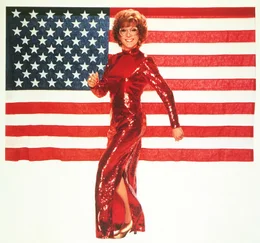 Michael Dorsey / Dorothy Michaels (Dustin Hoffman)