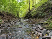 Im Frankenwaald im Schieferland gibt zahlreiche bewaldete T&auml;ler mit gut gesch&uuml;tzten und versteckten B&auml;chen. In diesen B&auml;chen jagt der Schwarzstorch nach Fischen und Amphibien. Der Frankenwald ist das gr&ouml;&szlig;te und bedeutendste Brutgebiet des scheuen Waldbr&uuml;ters in ganz Deutschland.