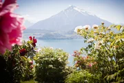 Hinter den Hecken - Folge 10 Pfingstrosengarten in Sigriswil BE