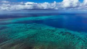 Das Great Barrier Reef besteht aus fast 3000 Einzelriffen und ist sogar aus dem Weltall sichtbar &ndash; die gr&ouml;&szlig;te von Lebewesen erschaffene Struktur der Erde.