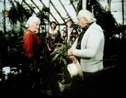 Erst Sam (Will Geer, r.) kann die hartherzige Miss Unwin (Ernestine Barrier, l.) davon &uuml;berzeugen, Verdie (Lynn Hamilton, 2.v.l.), die von Jason (Jon Walsmley, 2.v.r.) unterst&uuml;tzt wird, Zugang zu dem Dachboden zu gew&auml;hren.