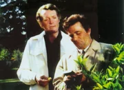 Lt. Columbo (Peter Falk, re.) verh&ouml;rt Nelson Brenner (Patrick McGoohan).