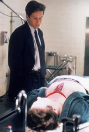 Fox Mulder (David Duchovny)