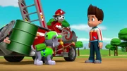 L-R: Rocky, Marshall, Ryder