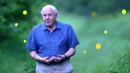 Sir David Attenborough