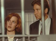 Scully (Gillian Anderson, l.) und Mulder (David Duchovny, r.) erfahren im Hinrichtungstrakt des Gefängnisses, dass einer der zum Tode Verurteilten kurz vor der eigenen Hinrichtung mehreren Männern den Tod prophezeit hat. Scully (Gillian Anderson, l.) und Mulder (David Duchovny, r.) erfahren im Hinrichtungstrakt des Gefängnisses, dass einer der zum Tode Verurteilten kurz vor der eigenen Hinrichtung mehreren Männern den Tod prophezeit hat.