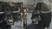 Hicks versucht zwischen den Yaks und den Drachen zu vermitteln. Doch keine Chance, die Haustiere verweigern weiterhin die Milch.