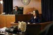 Brennan (Emily Deschanel, r.) sagt im Mordfall von Terrence Bancroft vor Gericht aus. Durch Hodgins Mitarbeit werden die Beweise wegen Befangenheit fast nicht akzeptiert. Das Team findet jedoch einen weiteren Beweis ohne Hodgins.