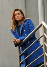 Gemeinsam mit ihren Kollegen bekommt Ziva (Cote de Pablo) den Auftrag, die Tochter des Verteidigungsministers von Belgravien zu besch&uuml;tzen ...