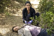 Ein Buchpr&uuml;fer, der als Whistleblower schon &ouml;fter Firmen bei der B&ouml;rsenaufsicht angezeigt hat, wird im Park erschossen aufgefunden. Jane Rizzoli (Angie Harmon) ermittelt.