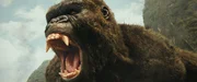 Kong (Terry Notary)