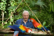 David Attenborough David Attenborough