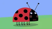 Gaston the Ladybird Gaston the Ladybird