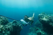 Hazen swimming through coral with a fish speared on his harpoon.