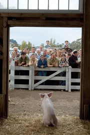 Die Spinne Charlotte hat schon wieder eine Botschaft in ihr Netz gewebt, um zu verhindern, dass die Zuckermanns ihren besten Freund Wilbur zu Schinken verarbeiten. Doch ihre Aktion scheint wenig erfolgversprechend zu sein ...