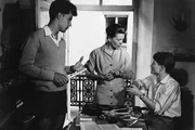 3. Frau Mutz (Ruth Hausmeister) hat in den letzten Monaten des zweiten Weltkrieges f&uuml;r zwei Kinder zu sorgen; denn sie hat den Berliner Jungen Hans Scholten (Folker Bohnet), einen Klassenkameraden ihres Sohnes Albert (Fritz Wepper, re.), zu sich aufgenommen. Ihr Mann steht im Feld. Noch ahnt sie nicht, dass auch Albert und Hans bald in Wehrmachtsuniform gesteckt werden.
