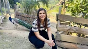 Hinter Anna streift ein Pfauenmännchen mit seinen prächtigen Schmuckfedern durch das große Gehege. Hinter Anna streift ein Pfauenmännchen mit seinen prächtigen Schmuckfedern durch das große Gehege.