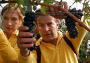 Flei&szlig;ige Pfl&uuml;cker: Dianne (Katja Weitzenb&ouml;ck) und Anton (Roland Koch) beim traditionellen Winzerduell.