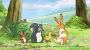 Der kleine braune Hase und seine Freunde m&ouml;gen "Quak" sehr.