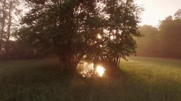 Mitten im Oberrheintal finden sich kleine Quellen, Donnerl&ouml;cher genannt. Die Quelle speist einen kleinen Fluss, ein seltenes Unterwasserparadies.