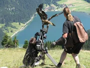 Keine Angst, der Adler landet nicht auf der Kamera, aber so entstehen atemberaubende Bilder!