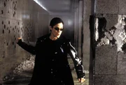 Zusammen mit Neo zerlegt die gef&auml;hrlich sch&ouml;ne Trinity (Carrie-Anne Moss) die Eingangshalle eines Polizeigeb&auml;udes, inklusive Wachpersonal, in seine Einzelteile ...