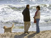 MDR Fernsehen MANKELLS WALLANDER - EIN TOTER AUS AFRIKA, "afrikanen", am Samstag (17.03.12) um 00:20 Uhr. Strandbekanntschaft: Wallander (Krister Henriksson) sucht Entspannung  am Meer.