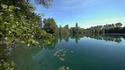 Aufgegebene Kiesgruben werden im Oberrheintal st&auml;ndig von Grundwasser durchsp&uuml;lt. Solche menschgemachten Lebensr&auml;ume k&ouml;nnen zur zweiten Chance f&uuml;r die Natur werden.
