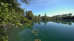 Aufgegebene Kiesgruben werden im Oberrheintal st&auml;ndig von Grundwasser durchsp&uuml;lt. Solche menschgemachten Lebensr&auml;ume k&ouml;nnen zur zweiten Chance f&uuml;r die Natur werden.