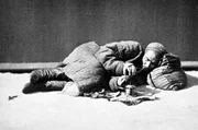 Um in den chinesischen Markt einzudringen, schmuggelten die Engl&auml;nder ab Ende des 18. Jahrhunderts Opium nach China, das in ihrer indischen Kolonie produziert wurde. Der Konsum wirkte sich verheerend auf die chinesische Bev&ouml;lkerung aus.